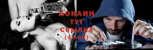 гидропоника Богданович