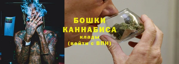 гидропоника Богданович