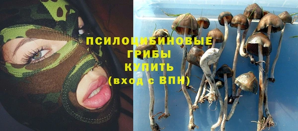 прущие крисы Богородск