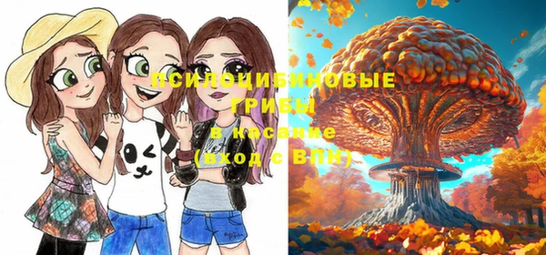 гидропоника Богданович