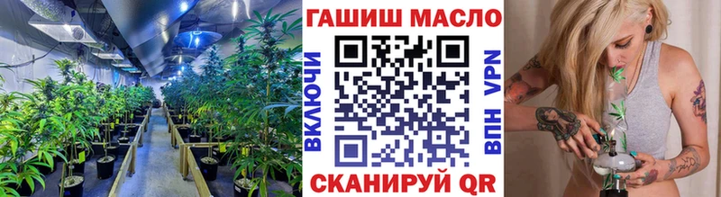 Купить закладки  Бирюч  ТГК вейп 